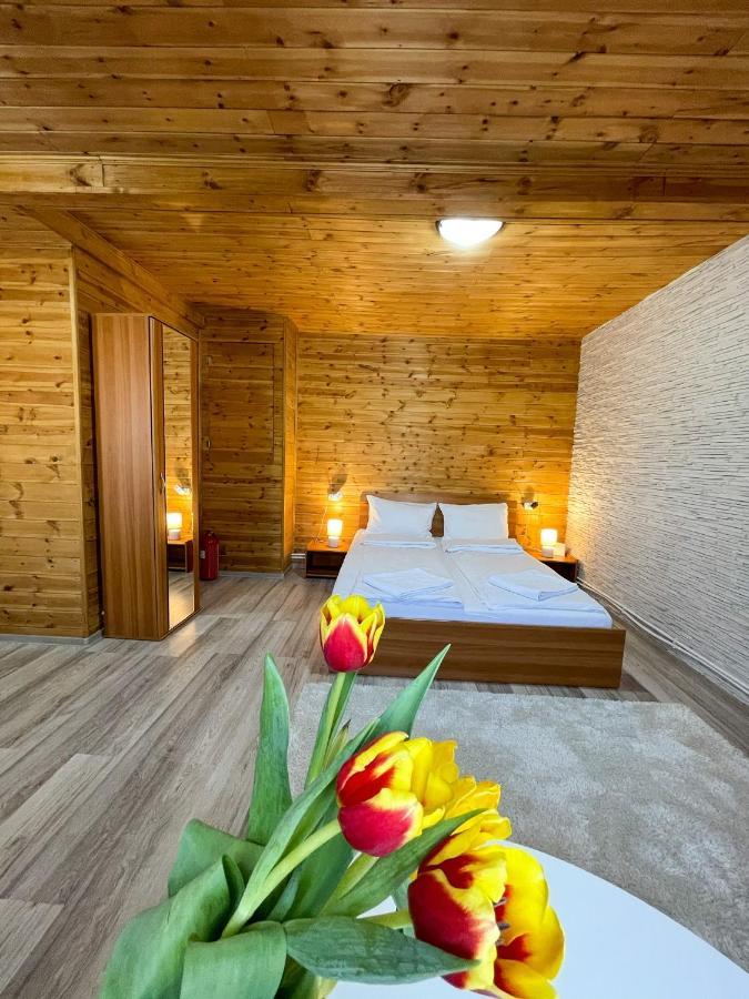 Bancu Somogyi Vendeghaz B&B 외부 사진