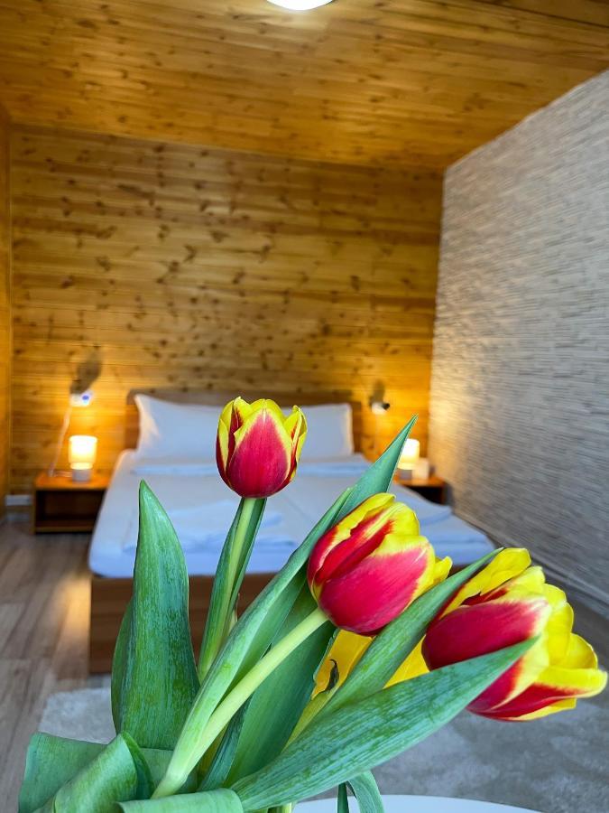 Bancu Somogyi Vendeghaz B&B 외부 사진